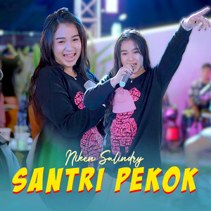 Niken Salindry - Santri Pekok