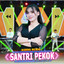 Princes Nadia, Ageng Music - Santri Pekok