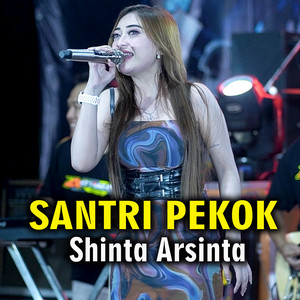 Shinta Arsinta - Santri Pekok