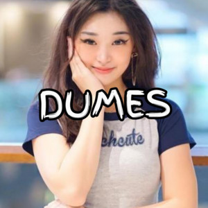 Salsa bintan - DUMES