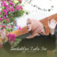 Umi Lestari - Sembuhkan Luka Ini