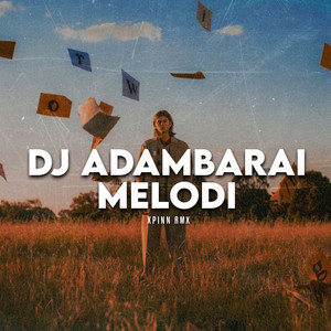 Xpinn RMX - DJ Adambarai Melodi