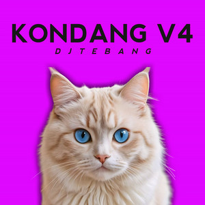 DJ TEBANG - Kondang, Vol. IV