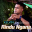 Kelvin Fordatkossu - RINDU NGANA