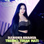 DJ NONA SHANIA - Tresno Tekane Mati