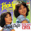 Heidy Diana - Bunga Bunga Cinta