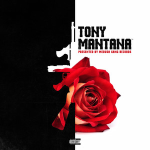 Tony Mantana - Tony Mantana