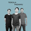 Nimo Band - Tergila Padamu
