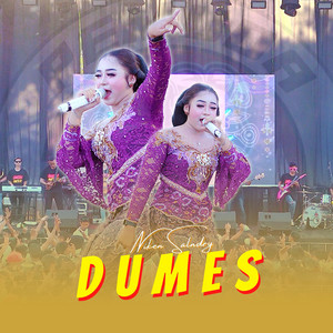 Niken Salindry - Dumes