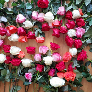 Sue Shamudin - Pelengkap Hidupku