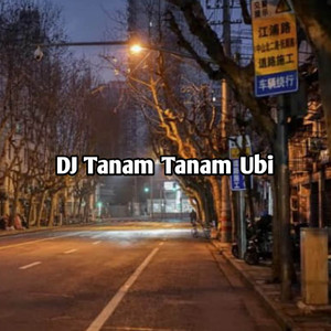 DJ Haning - DJ TANAM TANAM UBI