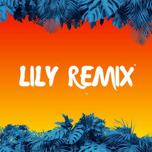 Lily Remix - DJ JANGAN LUPA BAHAGIA