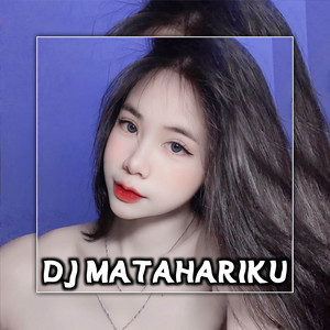 DJ WIDYA RMX - DJ MATAHARIKU