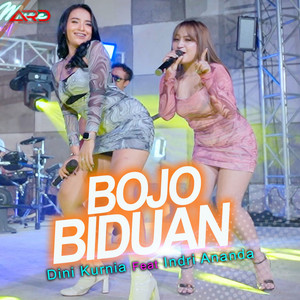 Dini Kurnia, Indri Ananda - Bojo Biduan