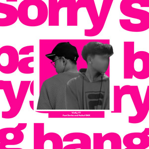 VinKy YT, Haikal RMX - Sorry Bang - Remix