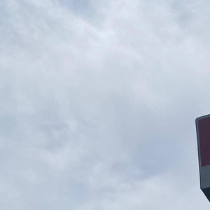 Aligator - duh aduh memang asik viral 2025