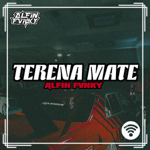 ALFIN FVNKY - TERENA METE