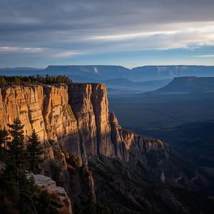 PURE CELOR - JANGAN SALAH