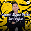 DJ Rafiqi - SEPERTI ALUNAN DETAK JANTUNGKU