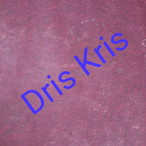 Dris Kris - Kehidupan Sementara