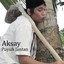 Aksay - Puyuh Jantan