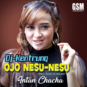 Intan Chacha - Ojo Nesu Nesu