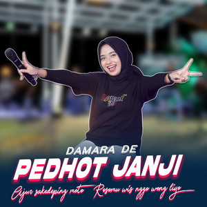 Damara De - Pedhot Janji