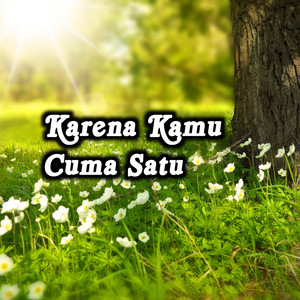 Jimmy band - Karena Kamu Cuma Satu Untuk Kuuu