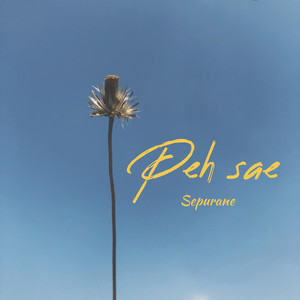 Peh Sae - Sepurane
