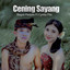 Bagus Parijata, Cyntia Pita - Cening Sayang