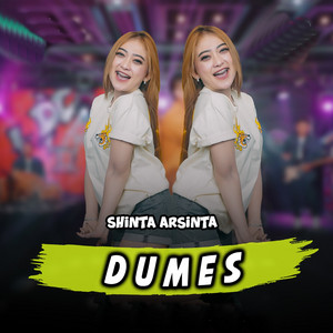 Shinta Arsinta - Dumes