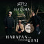ST12, Hazama - Harapan Tak Kunjung Usai