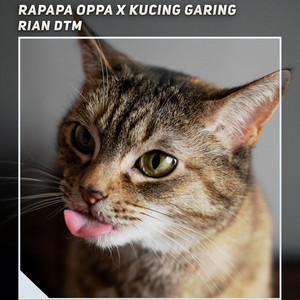 Rian DTM - Rapapa Oppa X Kucing Garing