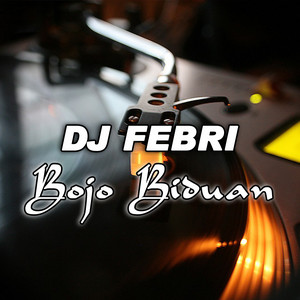 DJ FEBRI - Bojo Biduan