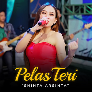 Shinta Arsinta - Pelas Teri