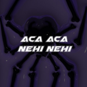 Rizky Remixer - Aca Aca Nehi Nehi