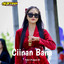 Febri Project ID - Ciinan Bana