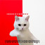 INDOCOVER RMX - Asmara Membara