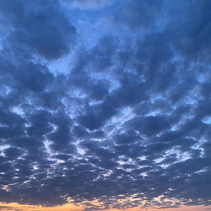 TRUTON ONLY - SHERLOCK SAJA