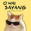 Amang Fvnky, FAHKRUR RADHI - O Hai Sayang - Remix
