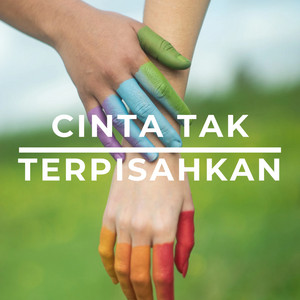 Dj Faizin - Cinta Tak Terpisahkan