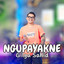 Gilga Sahid H - Ngupayakne