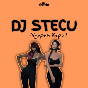 iCannn - DJ Stecu X Ngapain Repot
