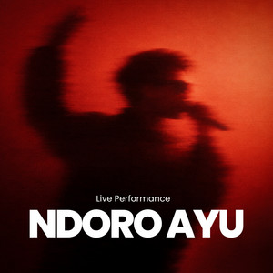 Didik Budi - NDORO AYU - Live Performance