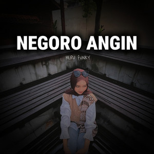 Heru Fvnky Rmx - Negoro Angin