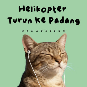 Mamad Selow - Helikopter Turun Ke Padang